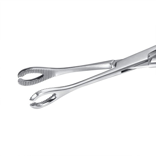 Paslanmaz Cerrahi Çelik Oval Piercing Pensesi 2